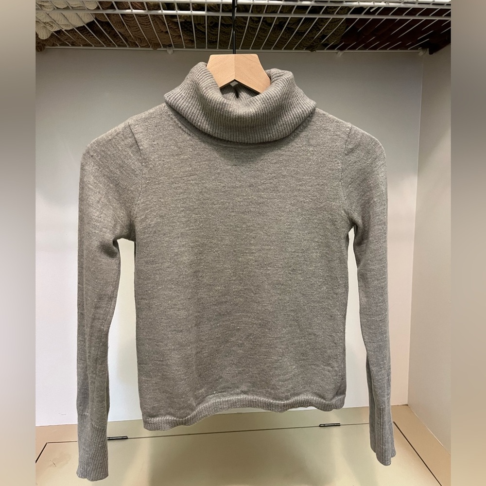 Banana Republic Merino Wool Turtleneck (Gray)